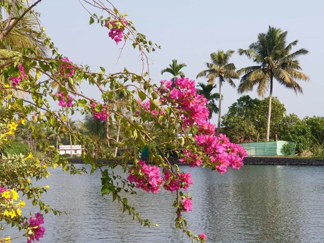 The Lake Paradise Boutique Resort Alappuzha Bed & Breakfast