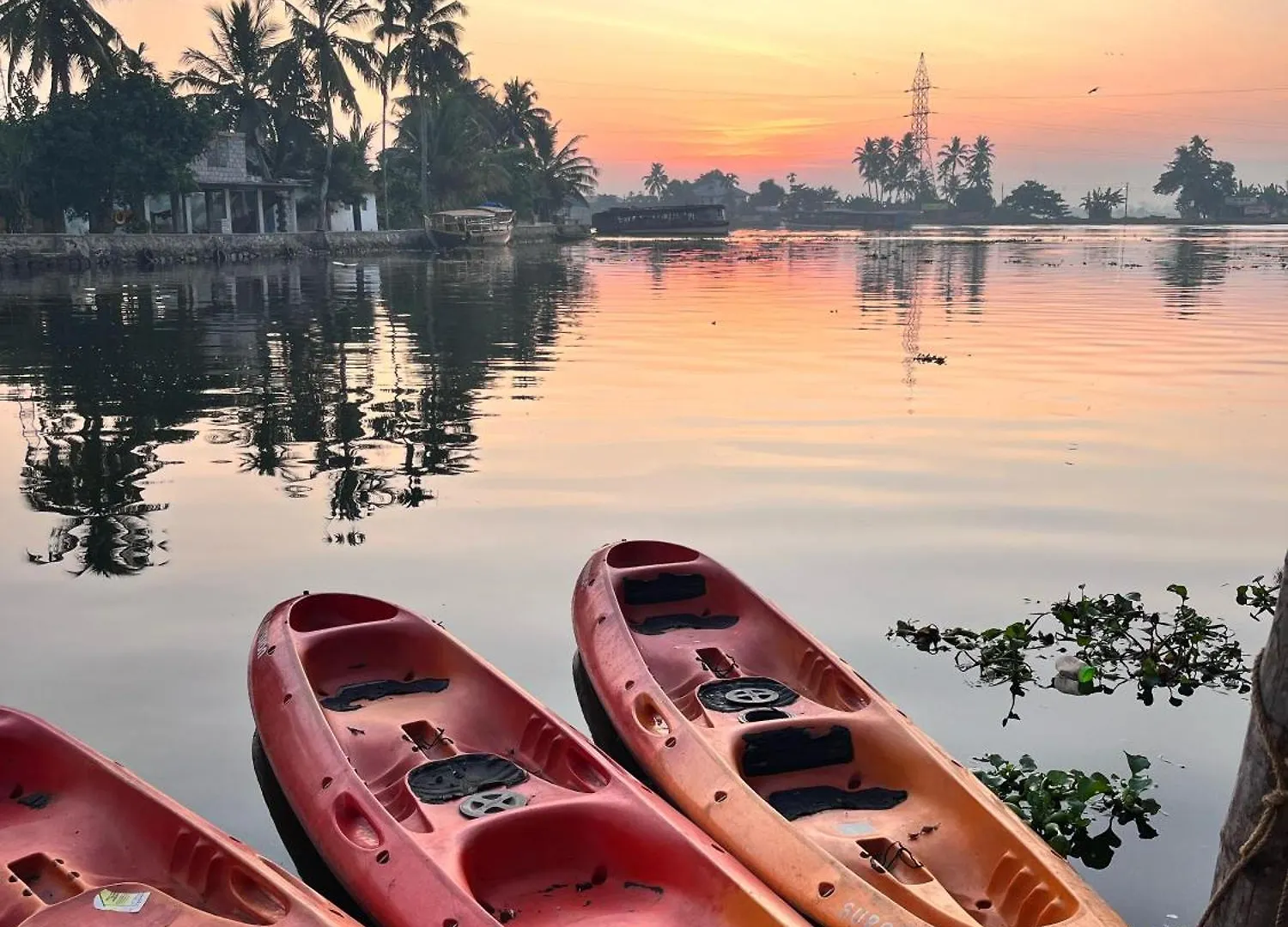 The Lake Paradise Boutique Resort Alappuzha Indie